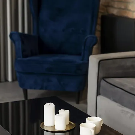 Milionowa Loft With Parking In By Renters *